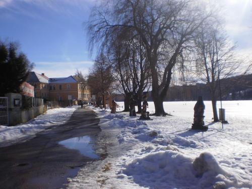 a street covered in snow with trees and buildings at Apartmány Eva Frymburk in Frymburk
