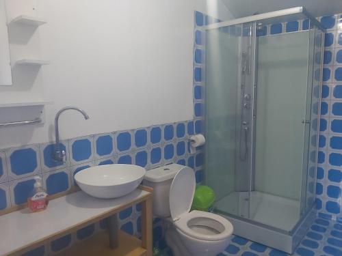 a bathroom with a toilet and a sink and a shower at Uros & Titicaca Sunset Comfort Floating cabins in Puno