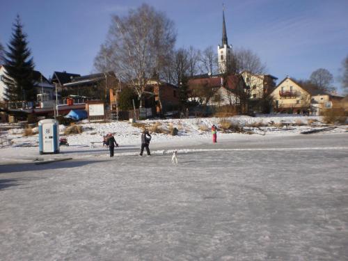 a group of people standing on an ice rink at Apartmány Eva Frymburk in Frymburk