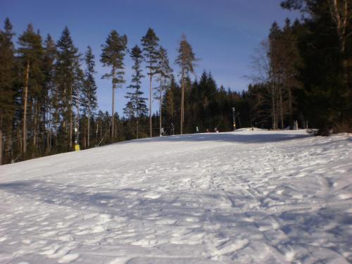 a snow covered slope with trees in the background at Apartmány Eva Frymburk in Frymburk
