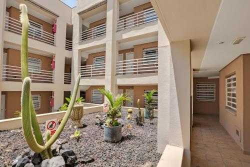 Los Cristianos plaza property