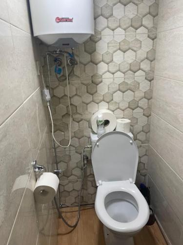 a small bathroom with a toilet and a shower at Upes lillijas in Jelgava
