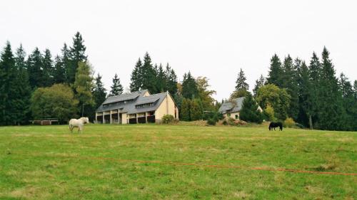 two horses grazing in a field in front of a house at Waldhotel Zöbischhaus in Bad Reiboldsgrün