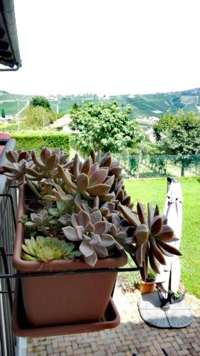 Jardín al aire libre en I Tigli di Altavilla