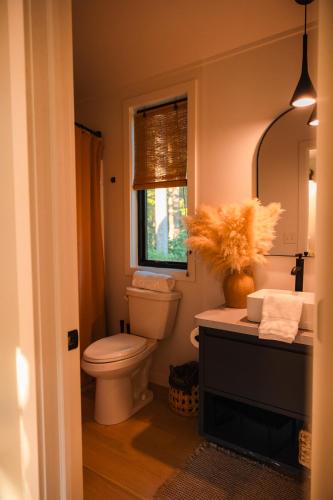 a bathroom with a toilet and a window and a sink at Bison Farm - Cabin "Cielo" in Culpeper