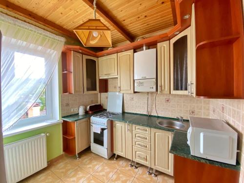 a kitchen with wooden cabinets and a sink and a window at Passage Apartments 10a in Skhidnitsa