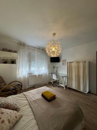 a bedroom with a bed and a chandelier at L'Escapade Sélestadienne in Sélestat