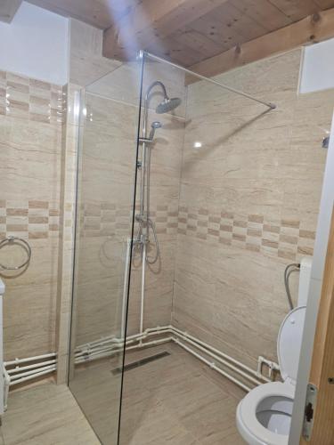 a bathroom with a shower with a toilet at The Wooden House in Moldoveneşti