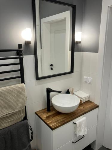 a bathroom with a white sink and a mirror at Wypoczynek nad morzem Uzdrowiskowa 115 in Przewłoka