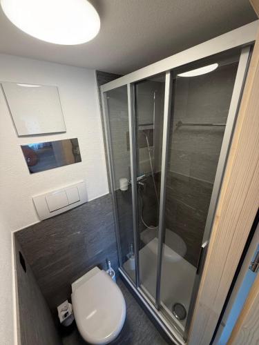 a bathroom with a toilet and a glass shower at Catrina Lodge in Disentis