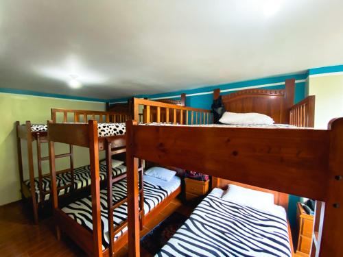 two bunk beds in a room with blue walls at Hotel Grant Ruiseñor in Chambo