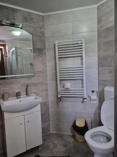 a bathroom with a toilet and a sink and a mirror at Casa Deea in Căpăţîneni-Pămînteni