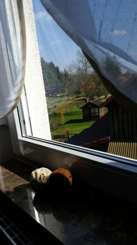 Μπαλκόνι ή βεράντα στο Wald&Wiesengeflüster Zechlinerhütte