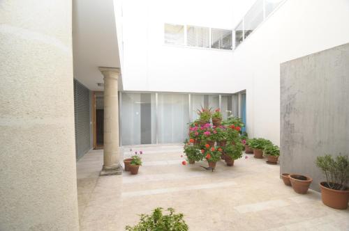 a hallway with potted plants in a building at La Casa del Limonero in El Puerto de Santa María