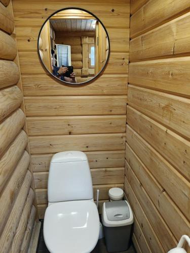 a bathroom with a toilet and a mirror at Honkaranta Cottage in Jämsä