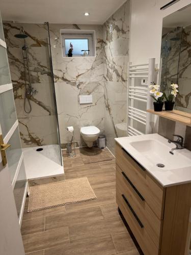 a bathroom with a sink and a shower and a toilet at Studio au rdc cœur de ville 1 in Sélestat