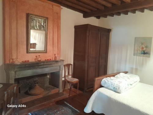 a bedroom with a fireplace and a bed and a mirror at Chambres d'hôtes de charme "La Tour Richelieu" in Martres-de-Veyre