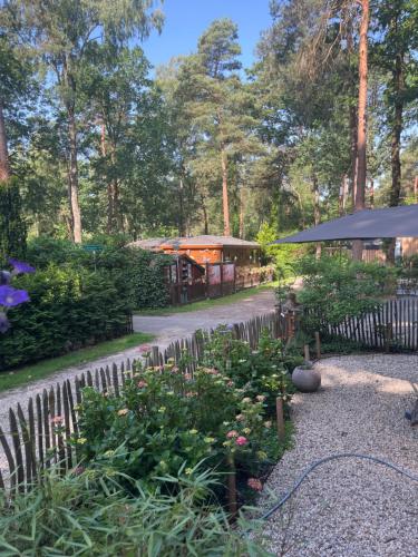 a garden with flowers and a building in the background at Chalet Bosgeluk in Hoenderloo