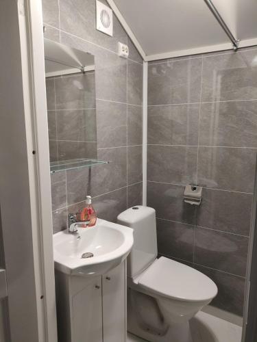 a bathroom with a toilet and a sink at Cozy Fjord Studio in Åna-Sira Near Brufjell and Jøssingfjord in Flekkefjord