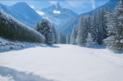 Chalet with breathtaking views of Mont Blanc photo 22