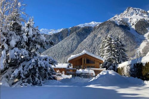 Chalet with breathtaking views of Mont Blanc photo 23