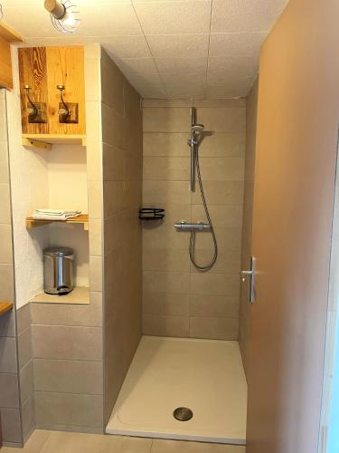 a shower stall in a bathroom with a shower at Le repaire de l'horloger in Maîche