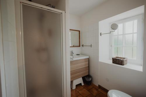 a bathroom with a toilet and a sink and a mirror at Studio de Bresteau in Beillé