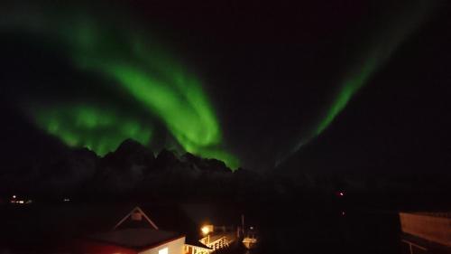 une image des lumières du nord dans le ciel dans l'établissement Hammerstad Camping, à Svolvær