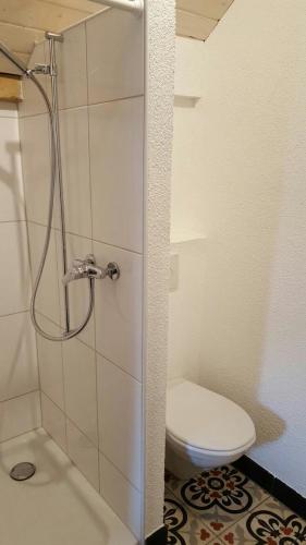 a small bathroom with a toilet and a shower at Joly Gîte in Les Bois