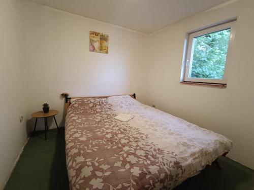 a bed in a bedroom with a window at Mountain Apartment Vlašić Babanovac in Vlasic