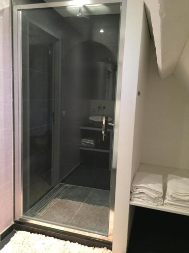 een douche met een glazen deur in de badkamer bij B-Square in Brugge