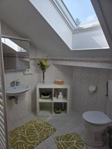 a bathroom with a toilet and a sink and a skylight at Pension Eva in Domažlice