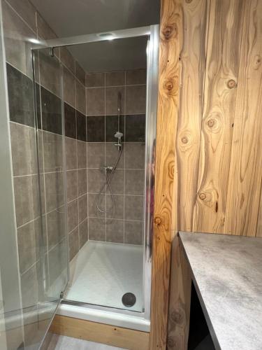 a shower with a glass door in a bathroom at La compagnie du bourg in Le Châtelard