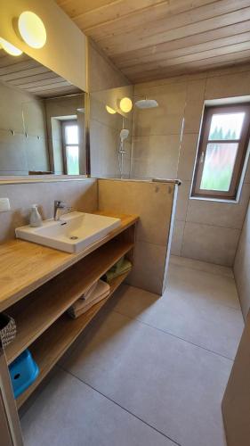 a bathroom with a sink and a mirror at Landhof Fischer in Geiersthal