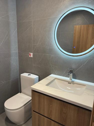 a bathroom with a toilet and a sink and a mirror at IOLENA Two Bedroom SEAVIEW APT in Pyla