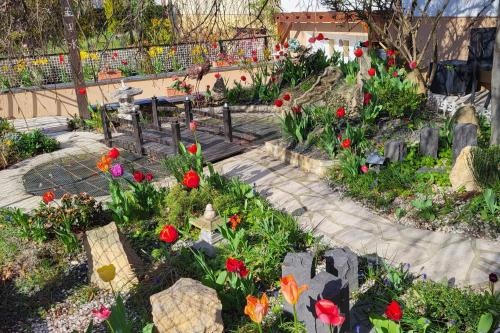 Studio Colmar avec jardin privatif