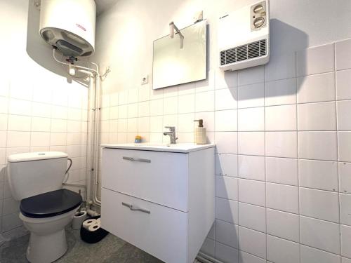 a bathroom with a toilet and a sink and a mirror at Le Cosy Industriel in Le Puy-en-Velay