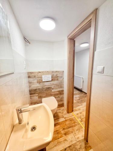 a bathroom with a sink and a toilet at Apartmán Lotta in Kežmarok