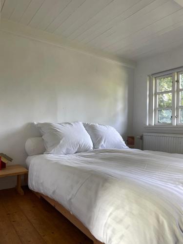 a white bed with white sheets and a window at Guest house Æbelnæs, Møn in Stege