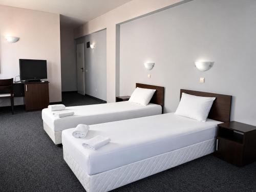 a hotel room with two beds and a television at Hotel Alexander in Sofia