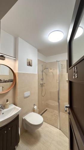 a bathroom with a shower and a toilet and a sink at Family Nest Băișoara - Confort Premium, Wi-Fi rapid, ciubăr la cerere și view spectaculos in Muntele Băişorii