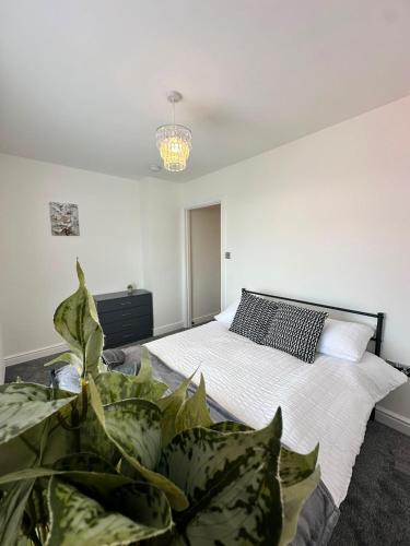 a bedroom with a bed with a plant in the foreground at Spacious Two Bed House With Stunning View. in Paull