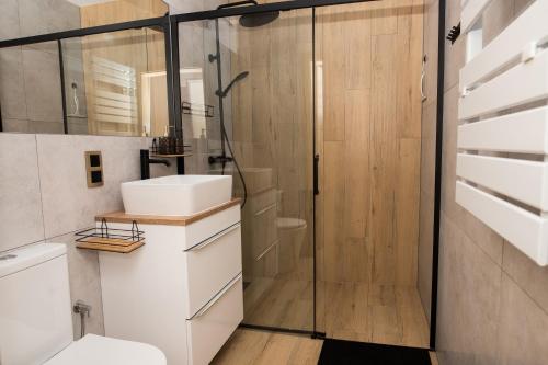 a bathroom with a shower and a sink and a toilet at Agroturystyka Przy Wodospadzie in Lubrza