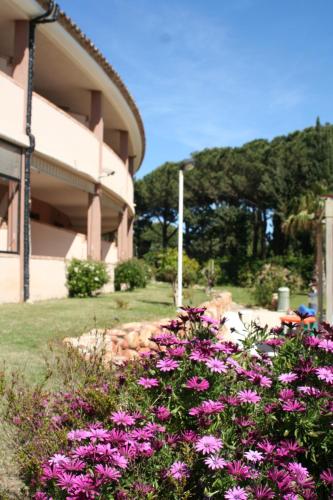 a bunch of purple flowers in front of a building at Verdemare Sardegna Uno in Villasimius