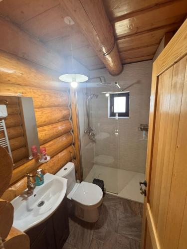 a bathroom with a toilet and a sink and a shower at Cabana Bocus in Păltinoasa