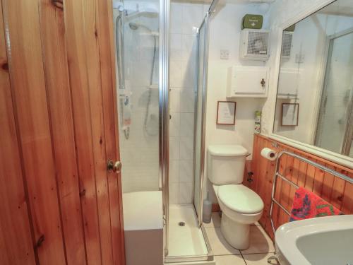 a bathroom with a shower and a toilet and a sink at 4 Whiterow in Appin