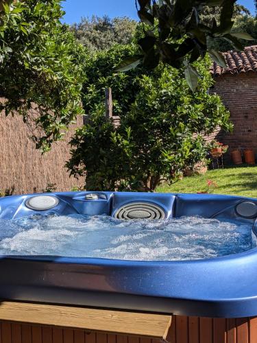 a blue tub with water in a yard at La Casa Del Sastre in Torrecilla de los Ángeles