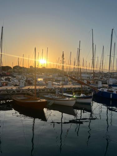 Fort Carré & Yachts View 2Bed Apartment in Old Antibes photo 23
