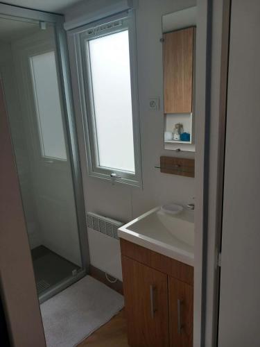 a bathroom with a shower and a sink and a mirror at L'échapée verte in Litteau