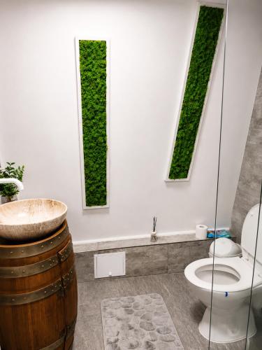 a bathroom with a toilet and a sink and two windows at A Frame YRA cu ciubar in Câmpulung